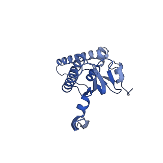 20412_6pod_M_v1-0
ClpX-ClpP complex bound to substrate and ATP-gamma-S, class 2