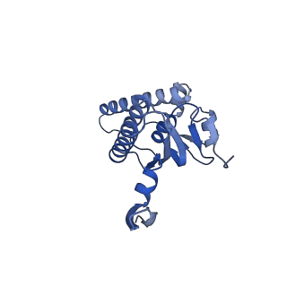 20412_6pod_M_v1-1
ClpX-ClpP complex bound to substrate and ATP-gamma-S, class 2