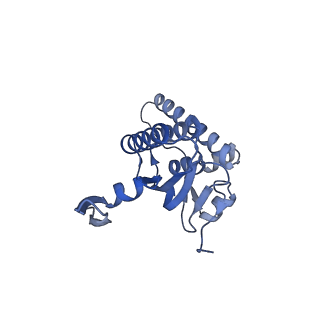 20412_6pod_N_v1-1
ClpX-ClpP complex bound to substrate and ATP-gamma-S, class 2