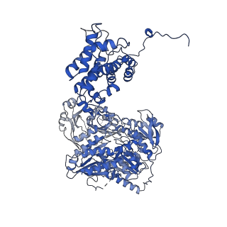 20413_6poe_A_v1-2
Structure of ACLY in complex with CoA