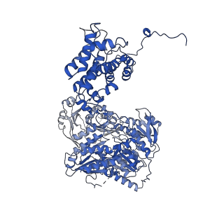 20413_6poe_A_v1-3
Structure of ACLY in complex with CoA