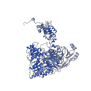 20413_6poe_B_v1-2
Structure of ACLY in complex with CoA