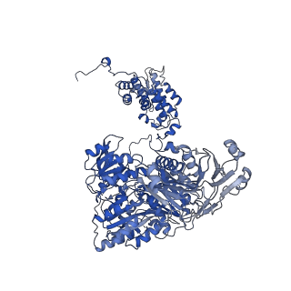 20413_6poe_B_v1-3
Structure of ACLY in complex with CoA