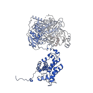 20413_6poe_D_v1-3
Structure of ACLY in complex with CoA