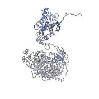 20414_6pof_A_v1-2
Structure of human ATP citrate lyase