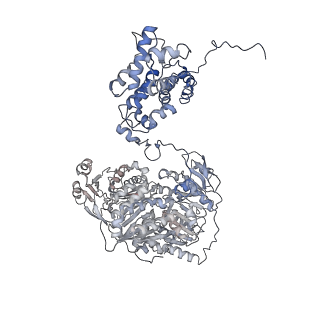 20414_6pof_A_v1-3
Structure of human ATP citrate lyase