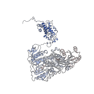 20414_6pof_B_v1-2
Structure of human ATP citrate lyase