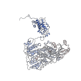 20414_6pof_B_v1-3
Structure of human ATP citrate lyase