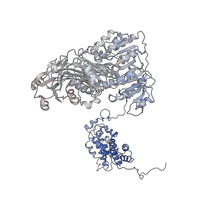 20414_6pof_C_v1-2
Structure of human ATP citrate lyase