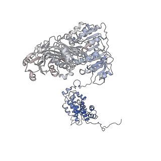 20414_6pof_C_v1-3
Structure of human ATP citrate lyase