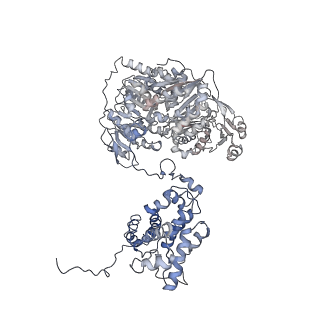 20414_6pof_D_v1-2
Structure of human ATP citrate lyase