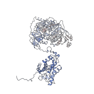 20414_6pof_D_v1-3
Structure of human ATP citrate lyase