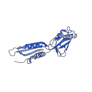 13579_7pp4_a_v1-0
Cryo-EM structure of Mycobacterium tuberculosis RNA polymerase holoenzyme comprising sigma factor SigB