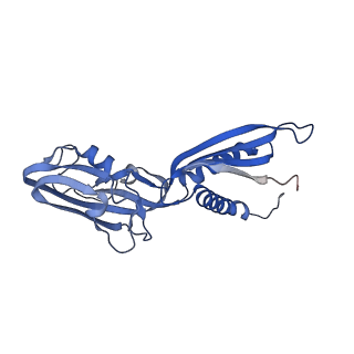 13579_7pp4_b_v1-0
Cryo-EM structure of Mycobacterium tuberculosis RNA polymerase holoenzyme comprising sigma factor SigB