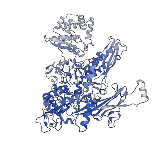 13579_7pp4_c_v1-0
Cryo-EM structure of Mycobacterium tuberculosis RNA polymerase holoenzyme comprising sigma factor SigB