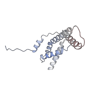 13579_7pp4_f_v1-0
Cryo-EM structure of Mycobacterium tuberculosis RNA polymerase holoenzyme comprising sigma factor SigB