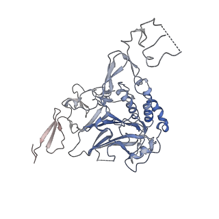 13580_7pp6_G_v1-1
MUC2 Tubules of D1D2D3 domains