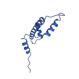 17797_8pp7_A_v1-0
human RYBP-PRC1 bound to mononucleosome
