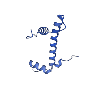 17797_8pp7_B_v1-0
human RYBP-PRC1 bound to mononucleosome