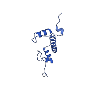 17797_8pp7_C_v1-0
human RYBP-PRC1 bound to mononucleosome