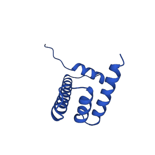 17797_8pp7_D_v1-0
human RYBP-PRC1 bound to mononucleosome