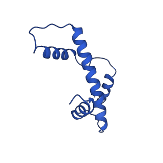 17797_8pp7_E_v1-0
human RYBP-PRC1 bound to mononucleosome