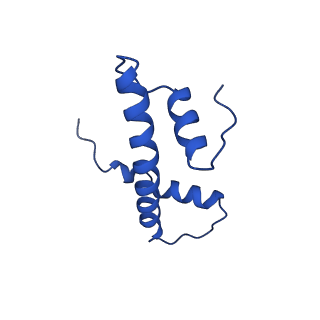 17797_8pp7_F_v1-0
human RYBP-PRC1 bound to mononucleosome