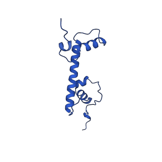 17797_8pp7_G_v1-0
human RYBP-PRC1 bound to mononucleosome