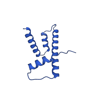 17797_8pp7_H_v1-0
human RYBP-PRC1 bound to mononucleosome
