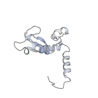 17797_8pp7_K_v1-0
human RYBP-PRC1 bound to mononucleosome