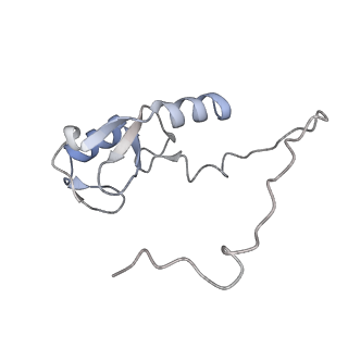 17797_8pp7_L_v1-0
human RYBP-PRC1 bound to mononucleosome