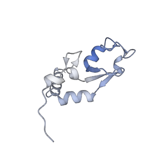 17797_8pp7_M_v1-0
human RYBP-PRC1 bound to mononucleosome