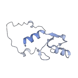 17797_8pp7_N_v1-0
human RYBP-PRC1 bound to mononucleosome