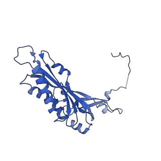17804_8ppk_B_v1-0
Bat-Hp-CoV Nsp1 and eIF1 bound to the human 40S small ribosomal subunit