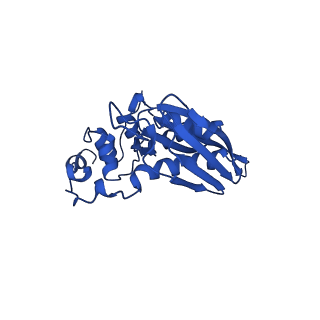 17804_8ppk_C_v1-0
Bat-Hp-CoV Nsp1 and eIF1 bound to the human 40S small ribosomal subunit