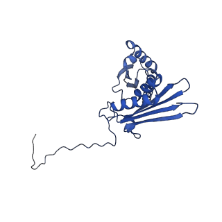 17804_8ppk_D_v1-0
Bat-Hp-CoV Nsp1 and eIF1 bound to the human 40S small ribosomal subunit