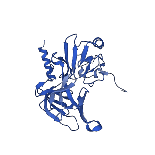17804_8ppk_E_v1-0
Bat-Hp-CoV Nsp1 and eIF1 bound to the human 40S small ribosomal subunit
