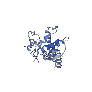 17804_8ppk_F_v1-0
Bat-Hp-CoV Nsp1 and eIF1 bound to the human 40S small ribosomal subunit