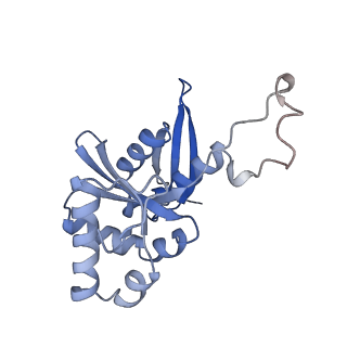 17804_8ppk_H_v1-0
Bat-Hp-CoV Nsp1 and eIF1 bound to the human 40S small ribosomal subunit