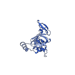 17804_8ppk_I_v1-0
Bat-Hp-CoV Nsp1 and eIF1 bound to the human 40S small ribosomal subunit