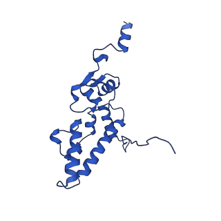 17804_8ppk_J_v1-0
Bat-Hp-CoV Nsp1 and eIF1 bound to the human 40S small ribosomal subunit