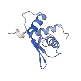 17804_8ppk_K_v1-0
Bat-Hp-CoV Nsp1 and eIF1 bound to the human 40S small ribosomal subunit