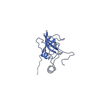 17804_8ppk_L_v1-0
Bat-Hp-CoV Nsp1 and eIF1 bound to the human 40S small ribosomal subunit