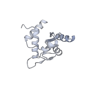 17804_8ppk_M_v1-0
Bat-Hp-CoV Nsp1 and eIF1 bound to the human 40S small ribosomal subunit
