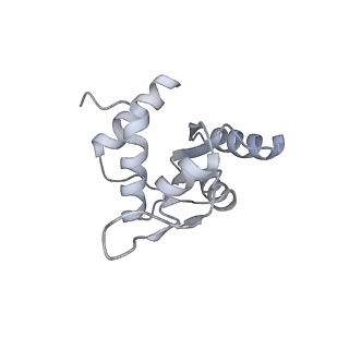 17804_8ppk_M_v2-0
Bat-Hp-CoV Nsp1 and eIF1 bound to the human 40S small ribosomal subunit