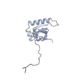 17804_8ppk_P_v1-0
Bat-Hp-CoV Nsp1 and eIF1 bound to the human 40S small ribosomal subunit