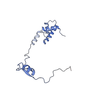 17804_8ppk_R_v1-0
Bat-Hp-CoV Nsp1 and eIF1 bound to the human 40S small ribosomal subunit