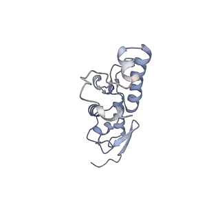 17804_8ppk_S_v1-0
Bat-Hp-CoV Nsp1 and eIF1 bound to the human 40S small ribosomal subunit