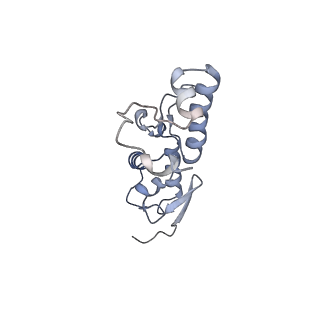 17804_8ppk_S_v2-0
Bat-Hp-CoV Nsp1 and eIF1 bound to the human 40S small ribosomal subunit