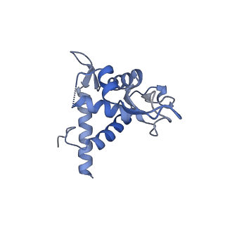 17804_8ppk_T_v1-0
Bat-Hp-CoV Nsp1 and eIF1 bound to the human 40S small ribosomal subunit